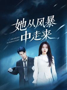 她从风暴中走来（60集）全剧免费观看