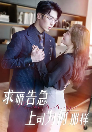 求婚告急上司为何那样（70集） 红果短剧看全集