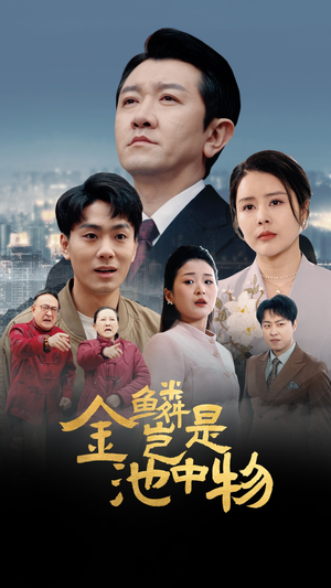 金鳞岂是池中物（61集）短剧太精彩