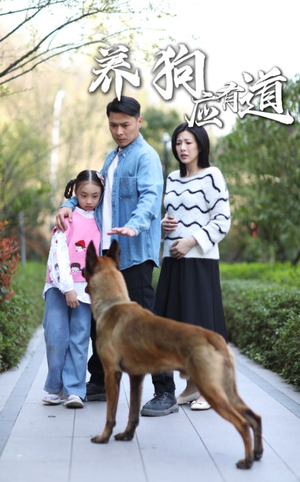 养狗应有道（60集）精彩短剧推荐