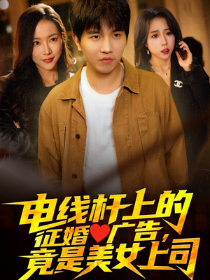 电线杆上的征婚广告，竟是美女上司（90集）短剧看全集
