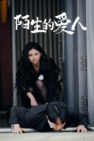 陌生的爱人（60集）去哪里看