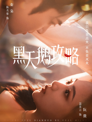 黑天鹅攻略（65集）免费在线看