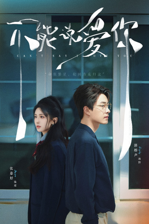 不能说爱你（64集）新短剧推荐