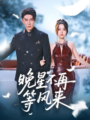 晚星不再等风来（65集）迅雷网盘观看
