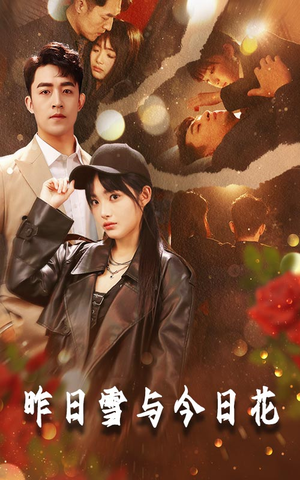 昨日雪与今日花（81集）爆火短剧推荐