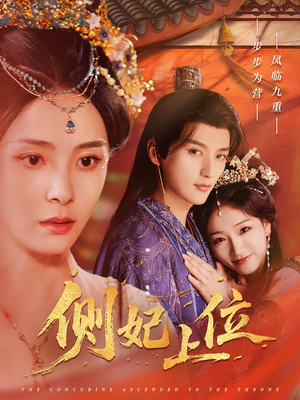 侧妃上位（80集）全集我都看完了