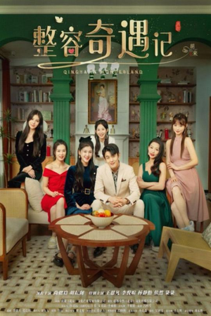 整容奇遇记（80集）免费短剧大全