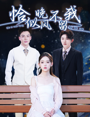 弃他如风（51集）精彩好看短剧