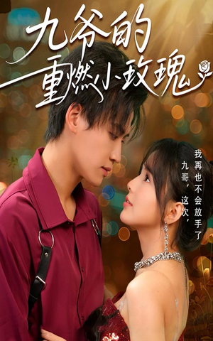 九爷的重燃小玫瑰（67集）最火短剧热播