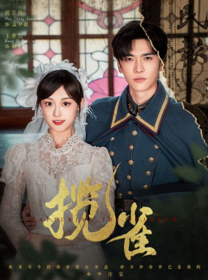 揽雀（61集）短剧太精彩了