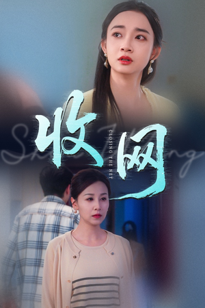 收网（60集）精彩短剧看全集