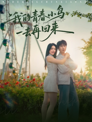 我的青春小鸟一去再回来（95集）短剧太好看了吧