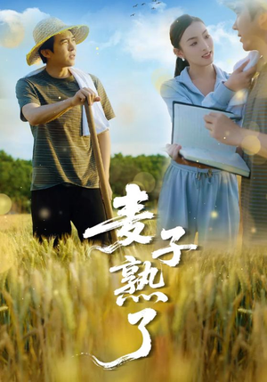 麦子熟了(52集) 麦子熟了(52集)好看又上头短剧