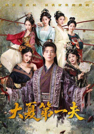 大夏第一夫（90集）更新时间