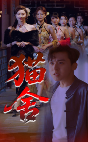 猫舍(34集) 猫舍(34集)免费看