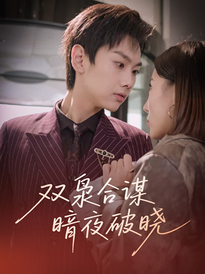 双枭合谋暗夜破晓（30集）短视频追剧推荐