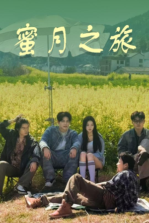 蜜月之旅（35集）热门了短剧