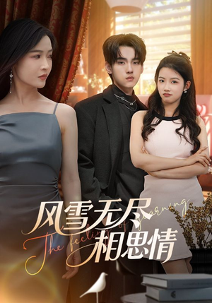 风雪无尽相思情（61集）全集我都看完了