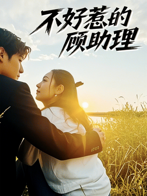 不好惹的顾助理（67集）一起追短剧吧