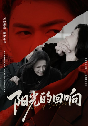 阳光的回响（50集）上热门短剧