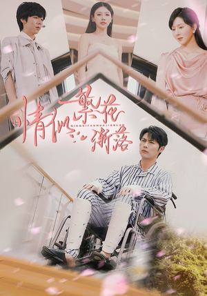 情似繁花渐落（62集）超级好看的短剧