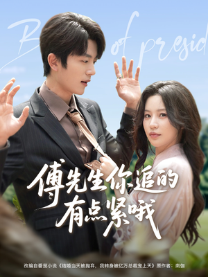 傅先生你追的有点紧哦（95集）真的好看吗