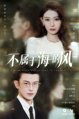 不属于海的风(40集) 不属于海的风(40集)全集
