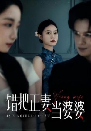 错把正妻当婆婆（46集）精彩好看短剧