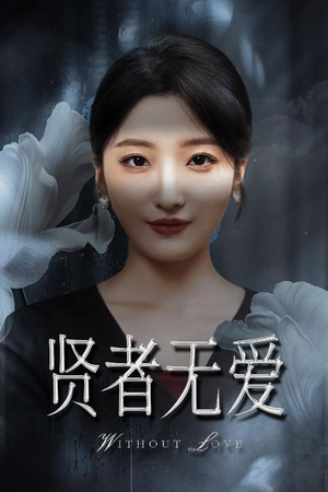 贤者无爱（42集）真的太精彩了