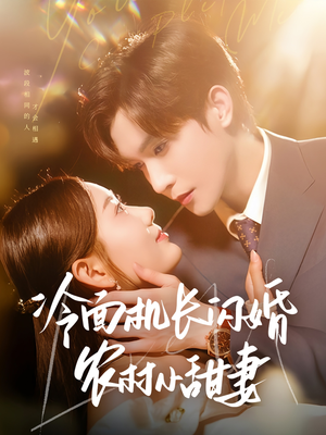 冷面机长闪婚农村小甜妻（73集）免费观看完整版