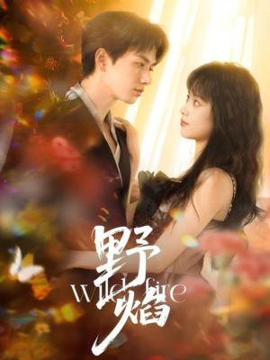 野焰（60集）免费观看