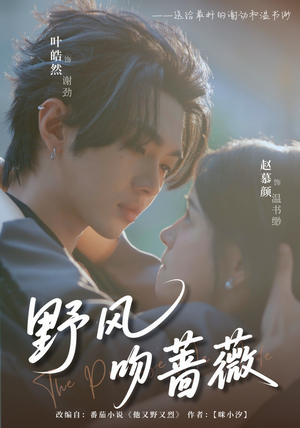 野风吻蔷薇（78集）在线看免费版