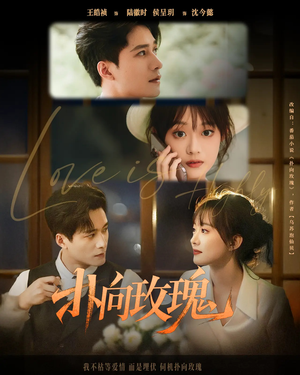 扑向玫瑰（77集）红果免费看短剧