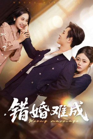 错婚难成（45集）短剧分享片段