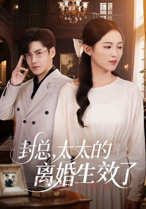 封总，太太的离婚生效了（82集）精彩的短剧