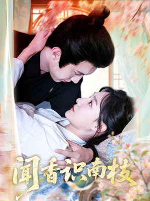 闻香识南枝（60集）热播短剧追不停