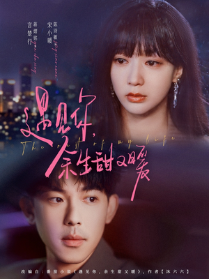 遇见你余生甜又暖（70集）男频短剧推荐