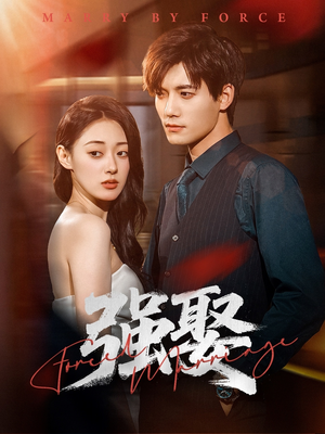 强娶（80集）在哪个平台能看