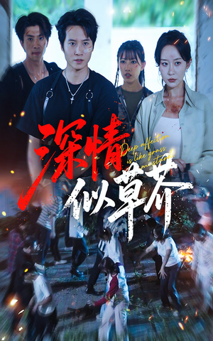 深情似草芥（51集）火爆短剧热播中