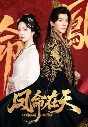 凤命在天（65集）演的怎么样