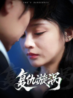 复仇漩涡（66集）80到100集