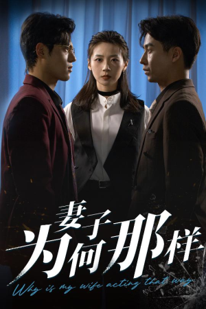 妻子为何那样（60集）爆款热门短剧