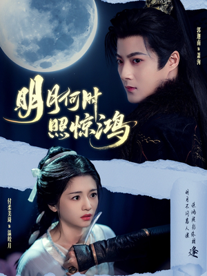明月何时照惊鸿（80集）全集一网打尽