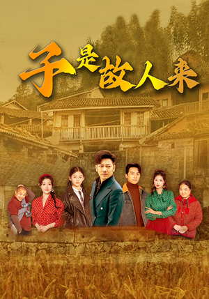 子是故人来（65集）一共多少集