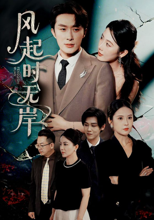 风起时无岸（58集）热门短剧推广