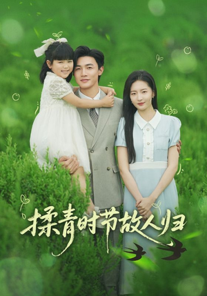 揉青时节故人归（60集）甜宠短剧追到爽