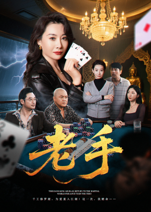 老手（36集）免费短剧就是爽