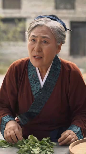 灵狐劫（40集）网盘在线观看