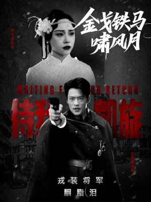 金戈铁马啸风月（54集）免费看全网短剧